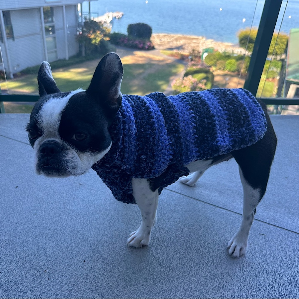 Handmade Knit Dog Sweater